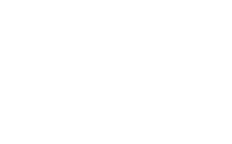 SCS Software